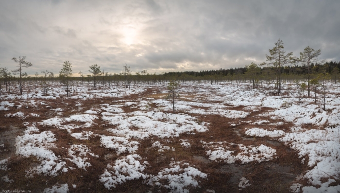 Осушенное торфяное болото