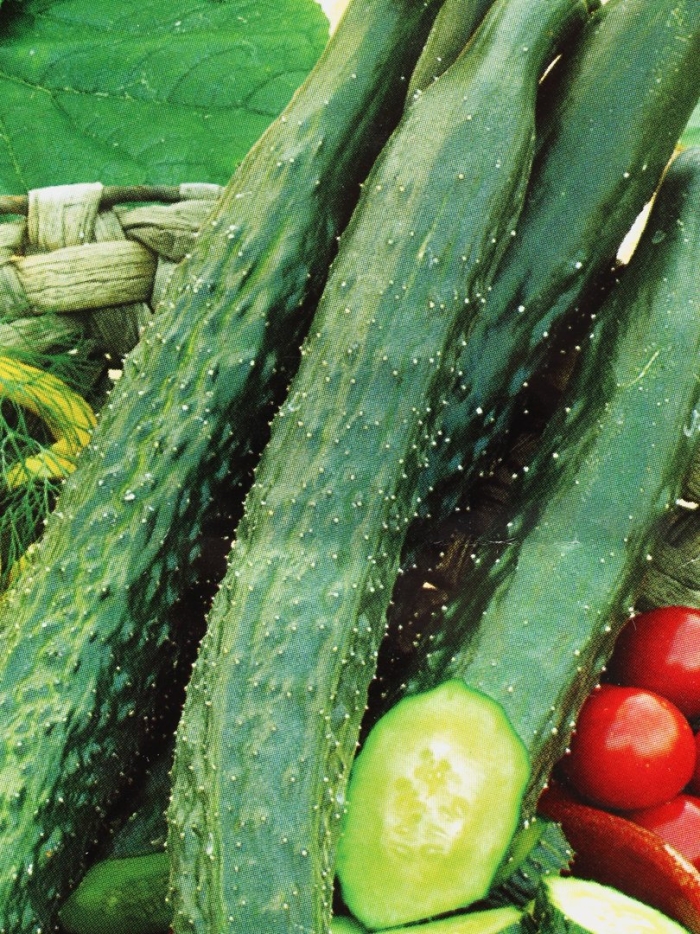 Огурец китайские палочки