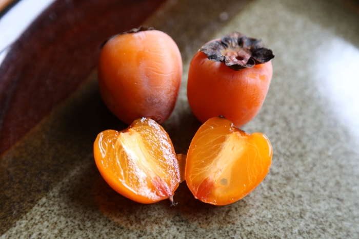 Хурма сидлис