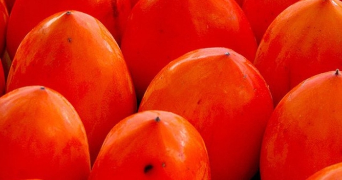 Хурма сорт шишбурун