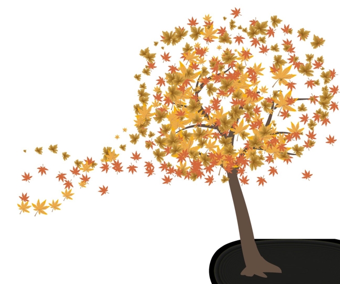 Осеннее дерево на прозрачном фоне