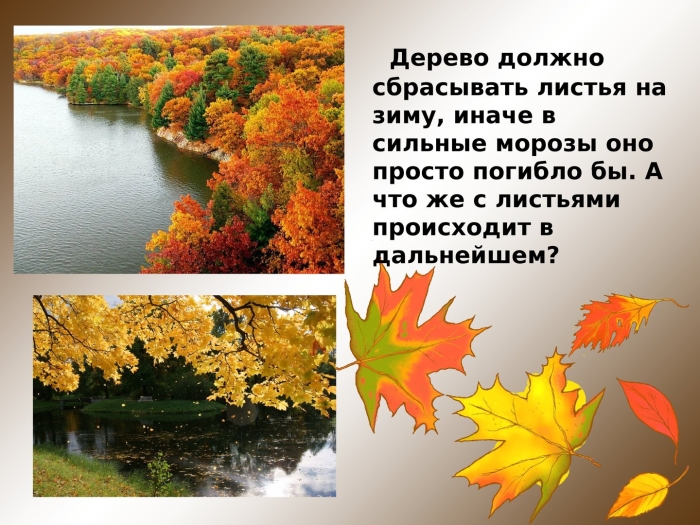 Рассказ о листьях