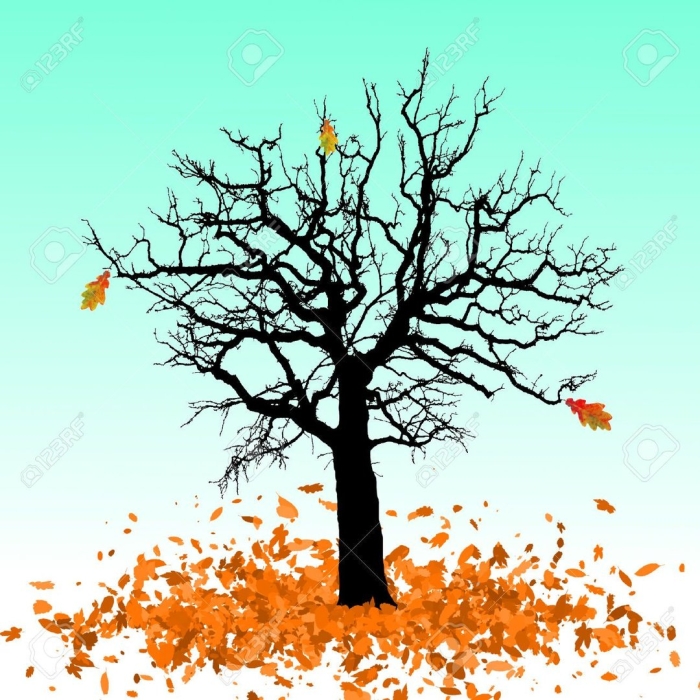 Дерево с опавшими листьями