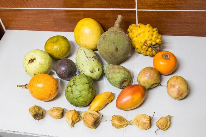 Фрукт тропический