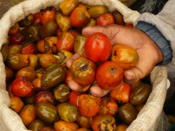 Экзотические фрукт