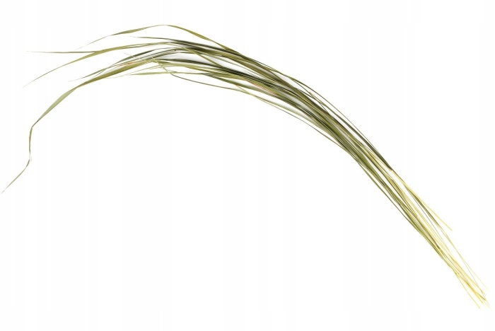 Искусственная растения