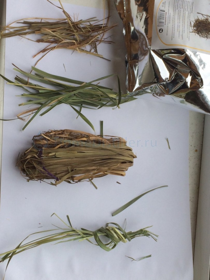 Зубровка настойка