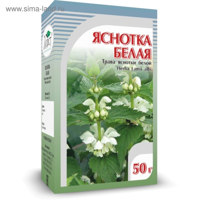 Яснотка белая трава