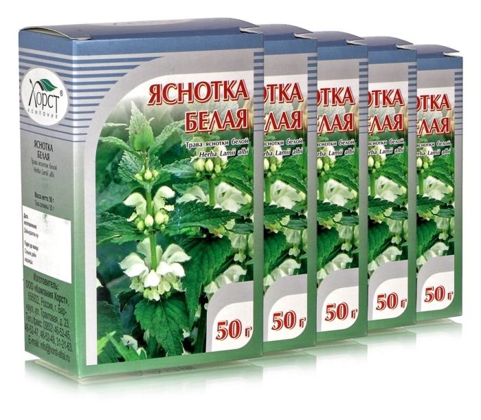 Яснотка белая применение