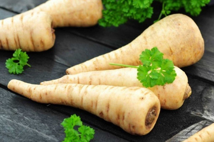 Растение пастернак