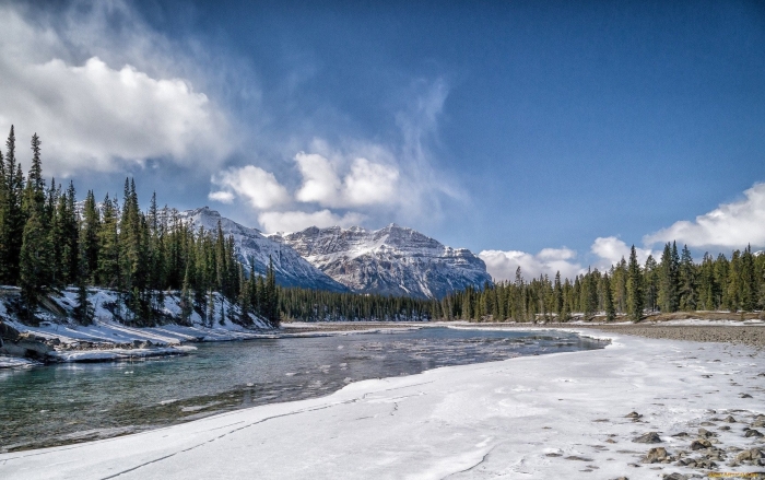 Горный алтай. природа. зима. катунь