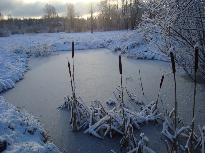 Пейзаж зимний