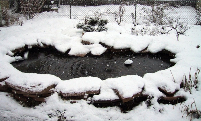 Пруд на даче зимой