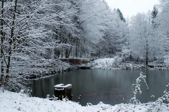 Пейзаж зима