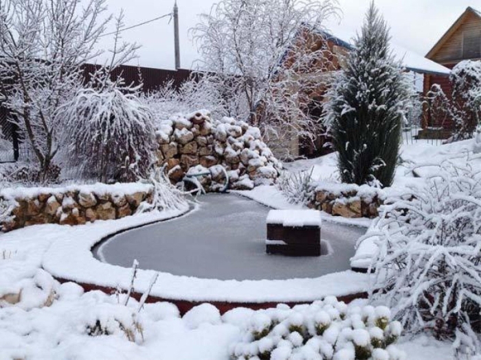 Прудик в зимнем саду