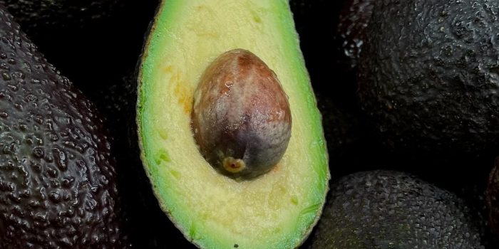 Авокадо фрукт