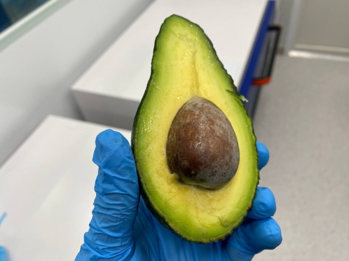Никокадо авокадо