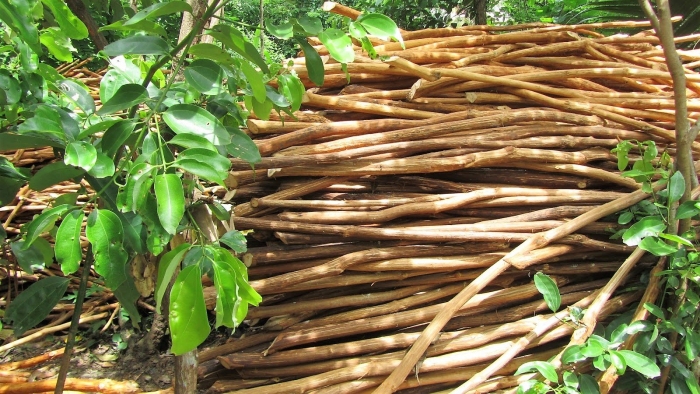 Плетеный забор из веток