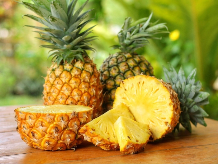 Ananas comosus