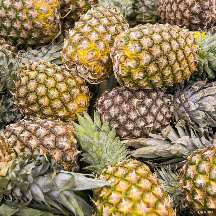Ананас домашний