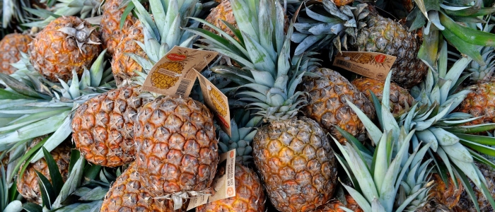 Самый большой ананас