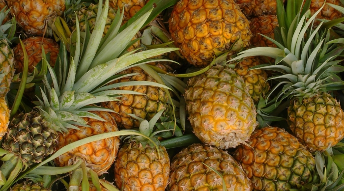 Fresh pineapple