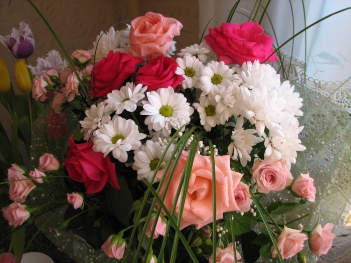 Розы хризантемы