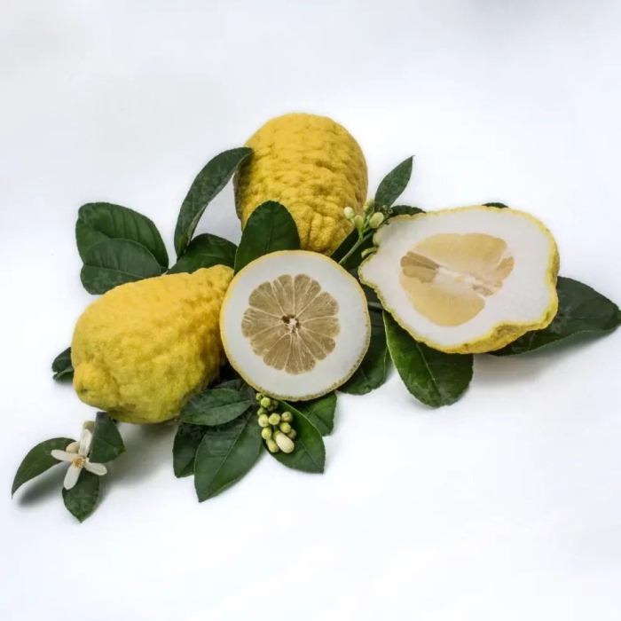 Цитрон фрукт