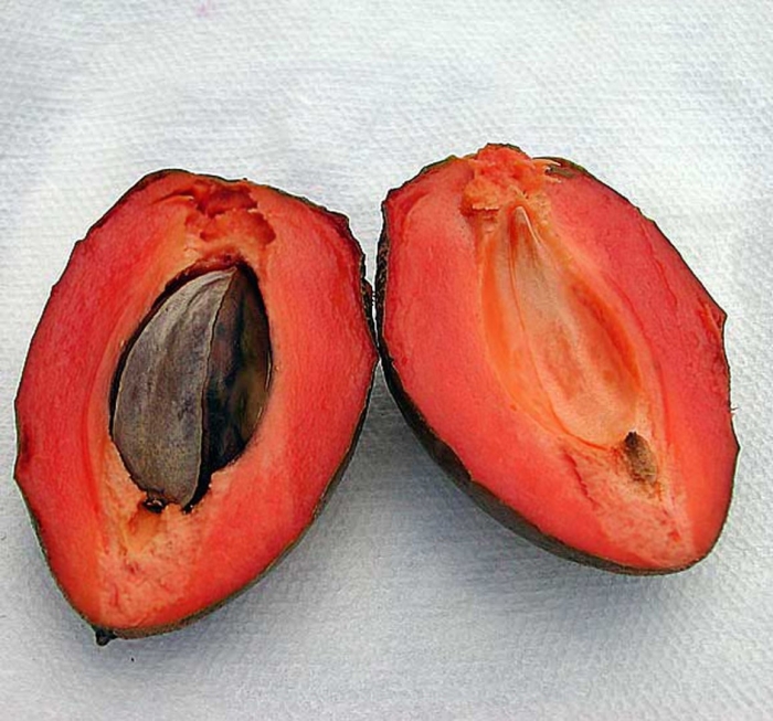 Мамей сапоте