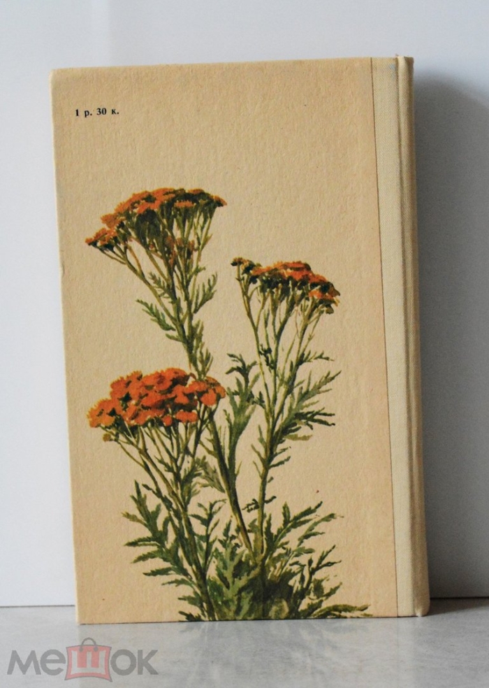 Пижма обыкновенная tanacetum vulgare