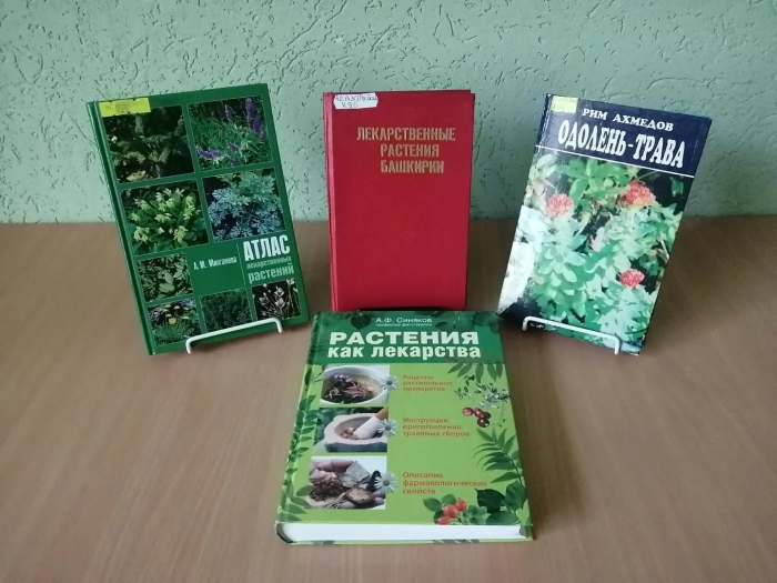 Современная энциклопедия лекарственных растений акимовой