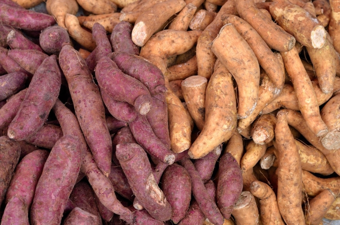 Sweet potato