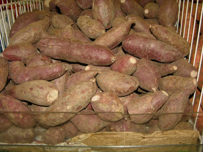 Китайский ямс