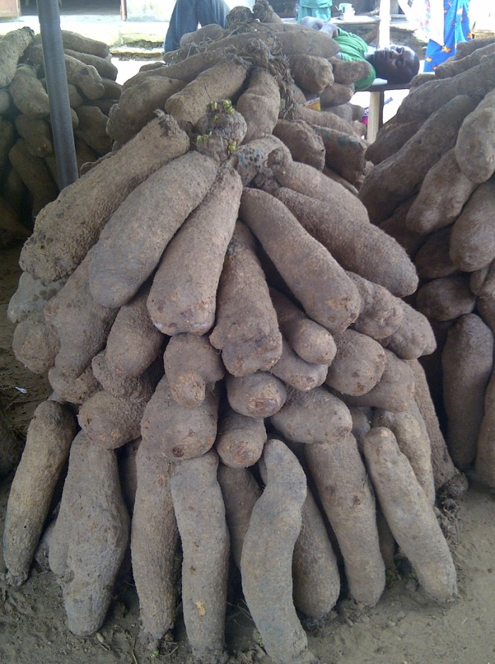 Африканский картофель ямс