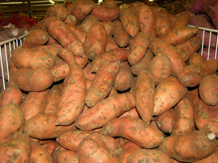 Ямс культура