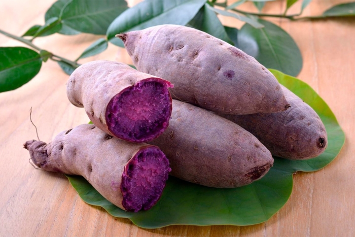 Батат фиолетовый