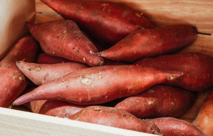 Батат картофель