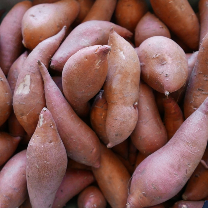 Картошка батат