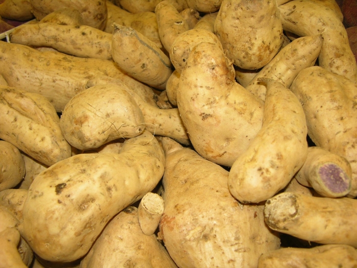 Китайский ямс