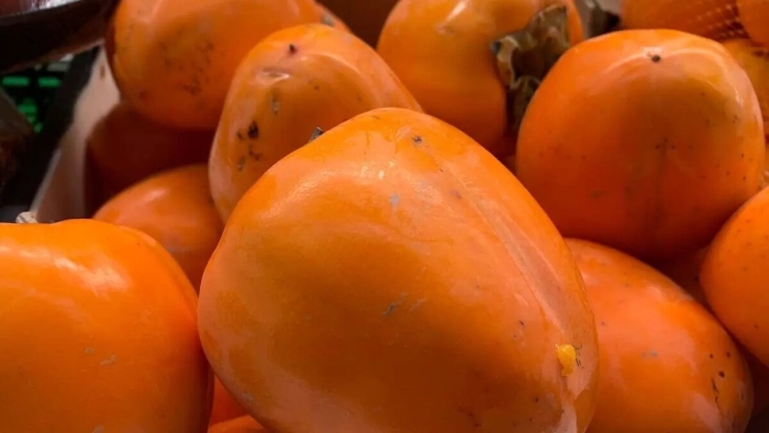 Хурма шиш бурун