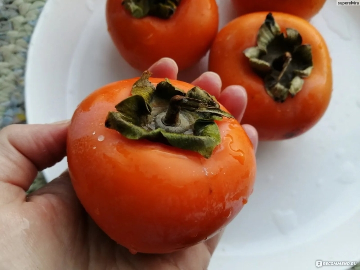 Хурма сорт шишбурун