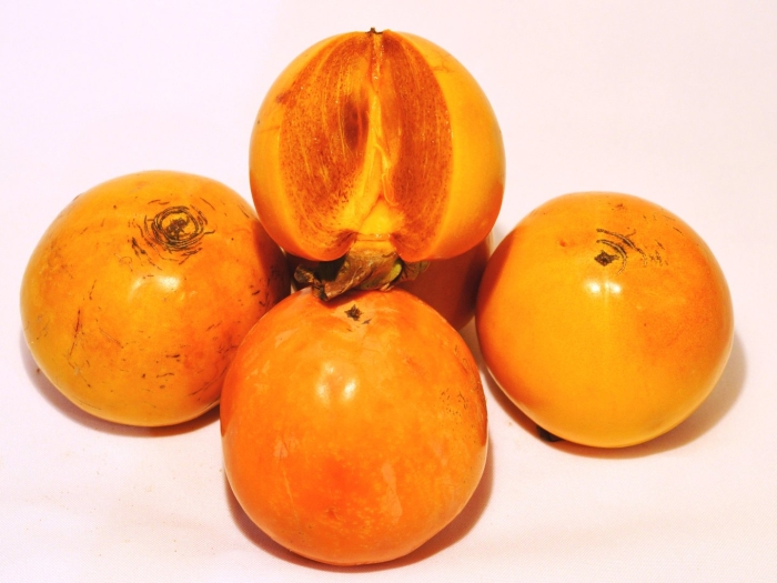 Хурма королек