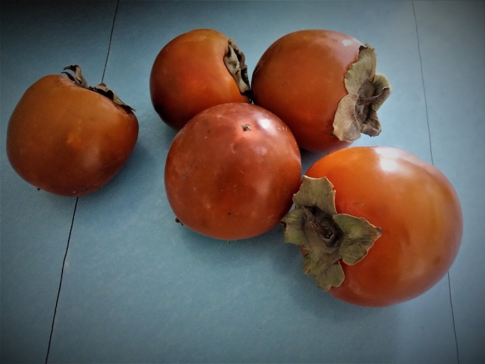 Хурма сорт персимон