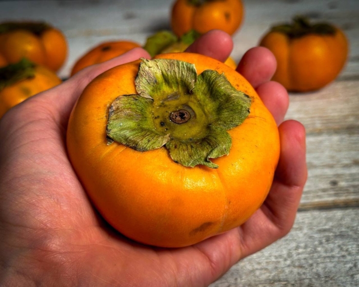 Хурма персимон