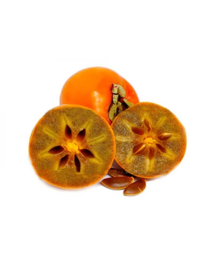 Хурма шарон