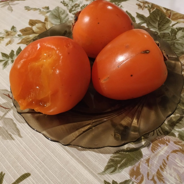 Сорт хурмы бычье сердце