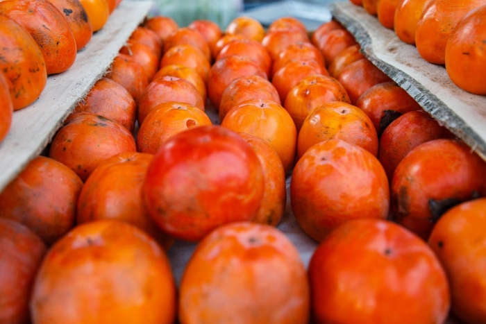 Хурма королек узбекистан