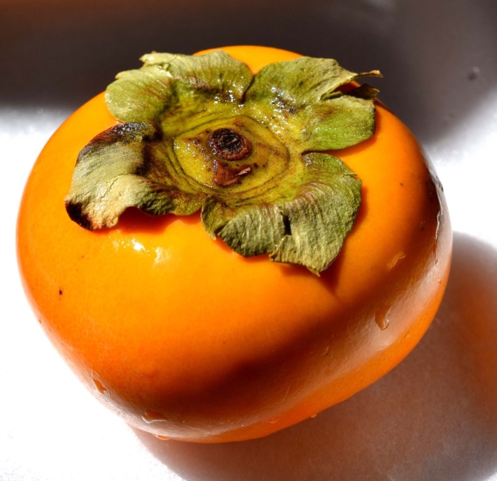 Персимон хурма