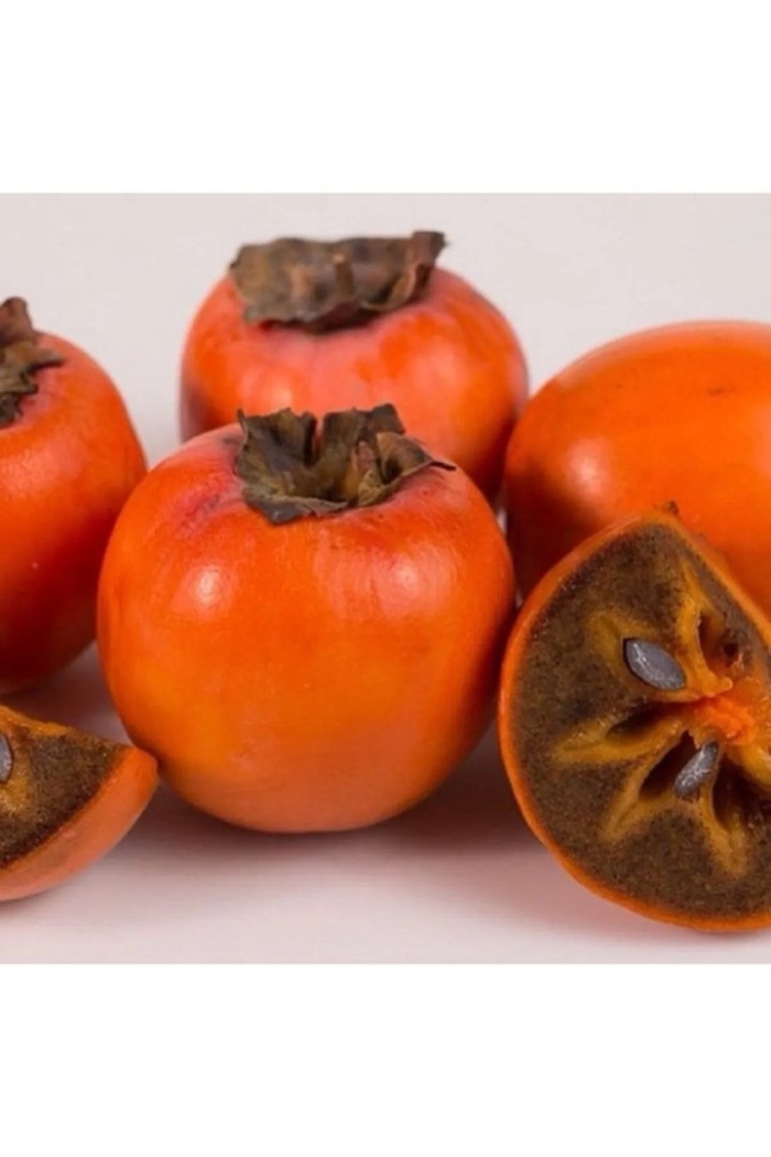 Королек шоколадный хурма