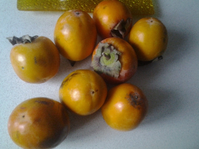 Хурма хиакуме королёк